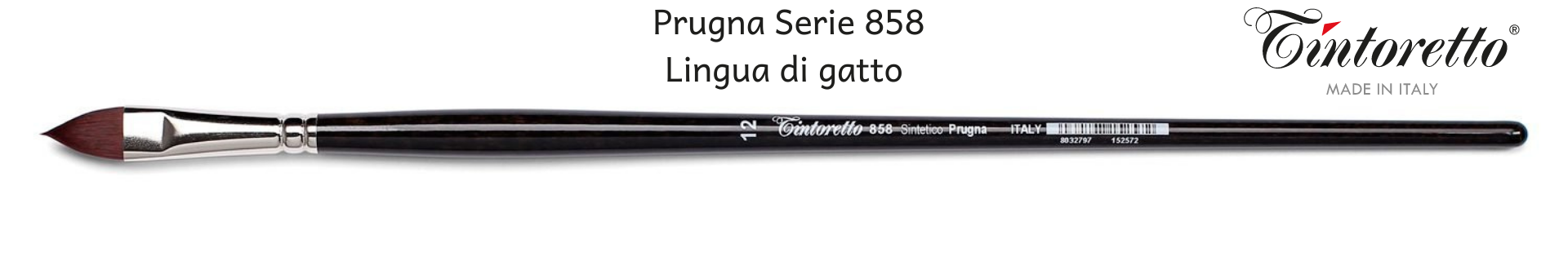 Tintoretto Prugna 858 Lingua di Gatto