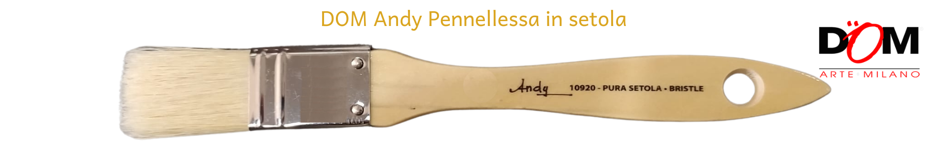 Dom Pennellessa Andy
